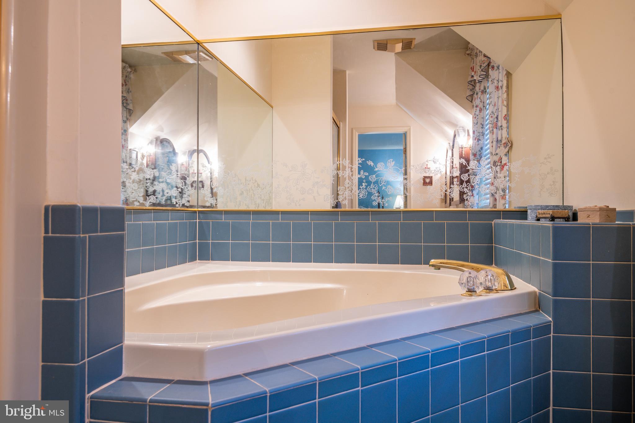 412 Arrowhead Trail Reading, PA 19608 - Photo 34 of 63 Jacuzzi Tub