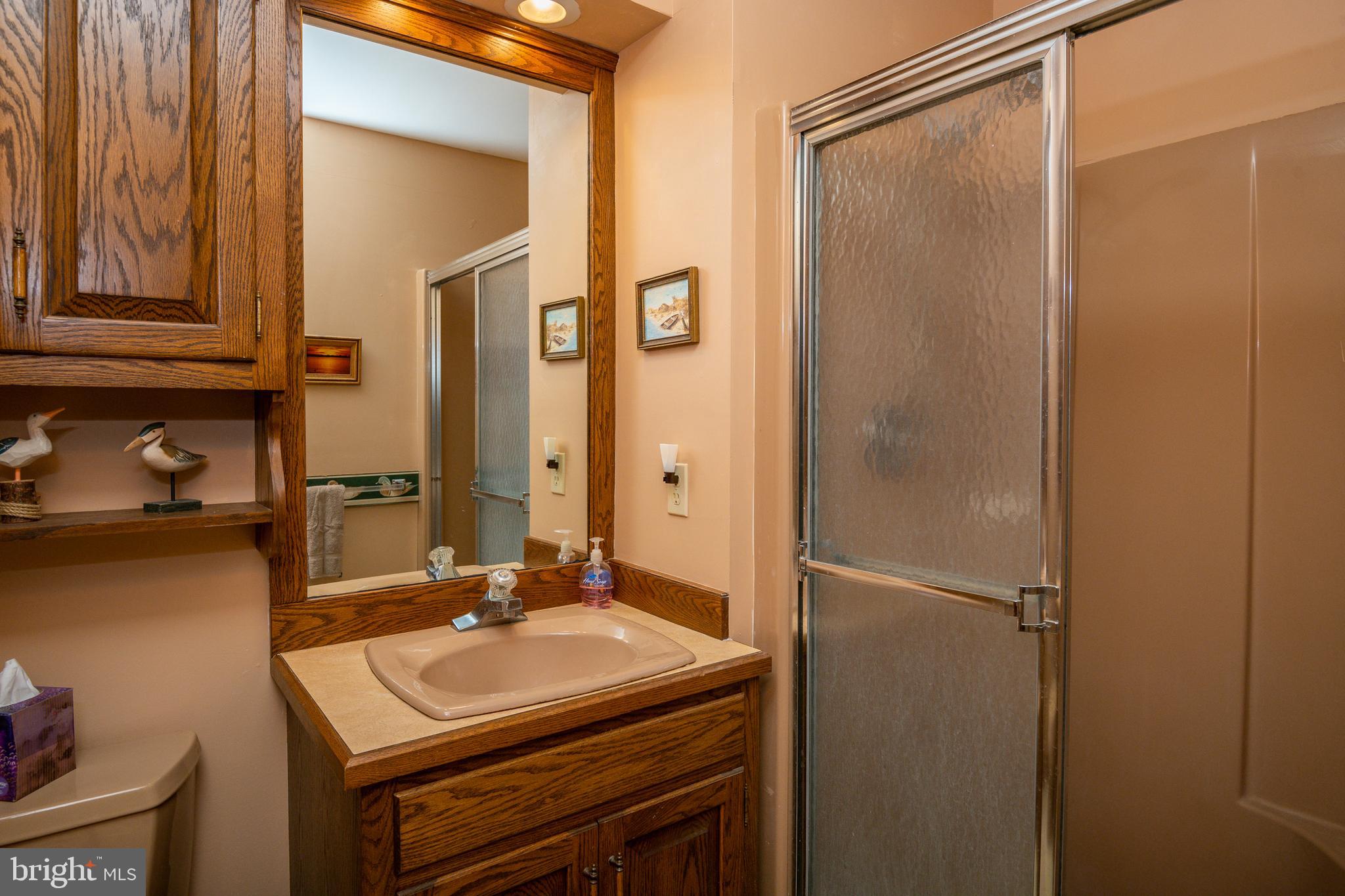 412 Arrowhead Trail Reading, PA 19608 - Photo 38 of 63 3rd Full Bath