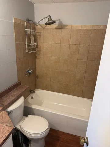 a bathroom with a toilet and a bathtub