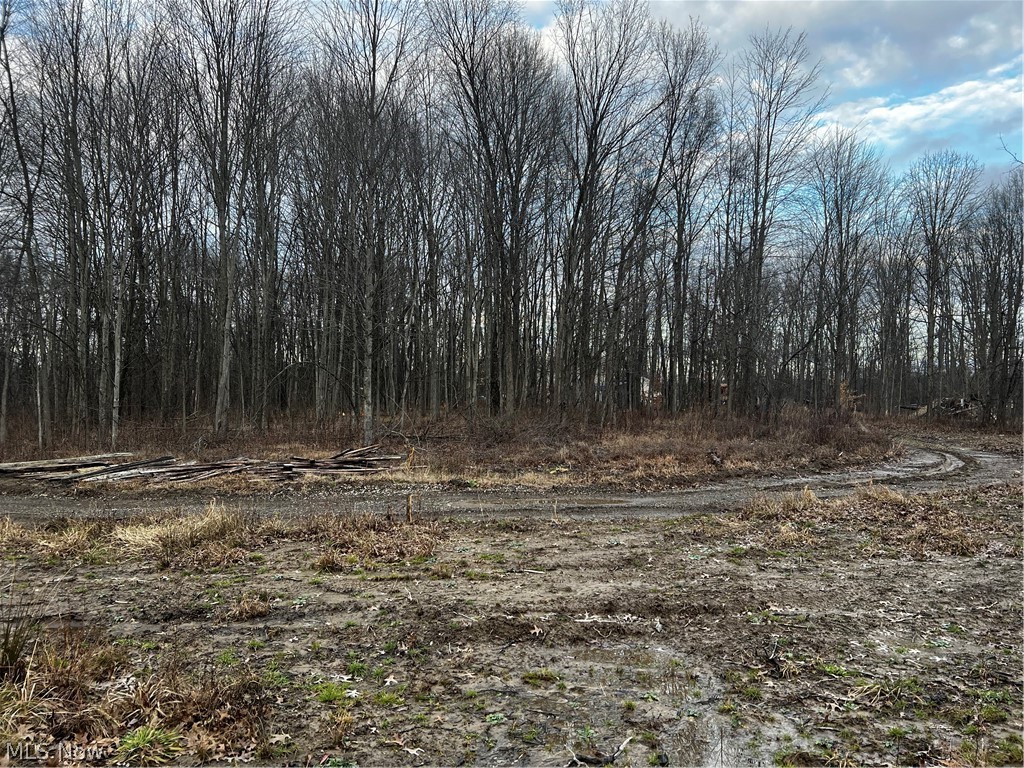 10016 Cable Line Road Newton Falls, OH 44444 - Photo 12 of 29