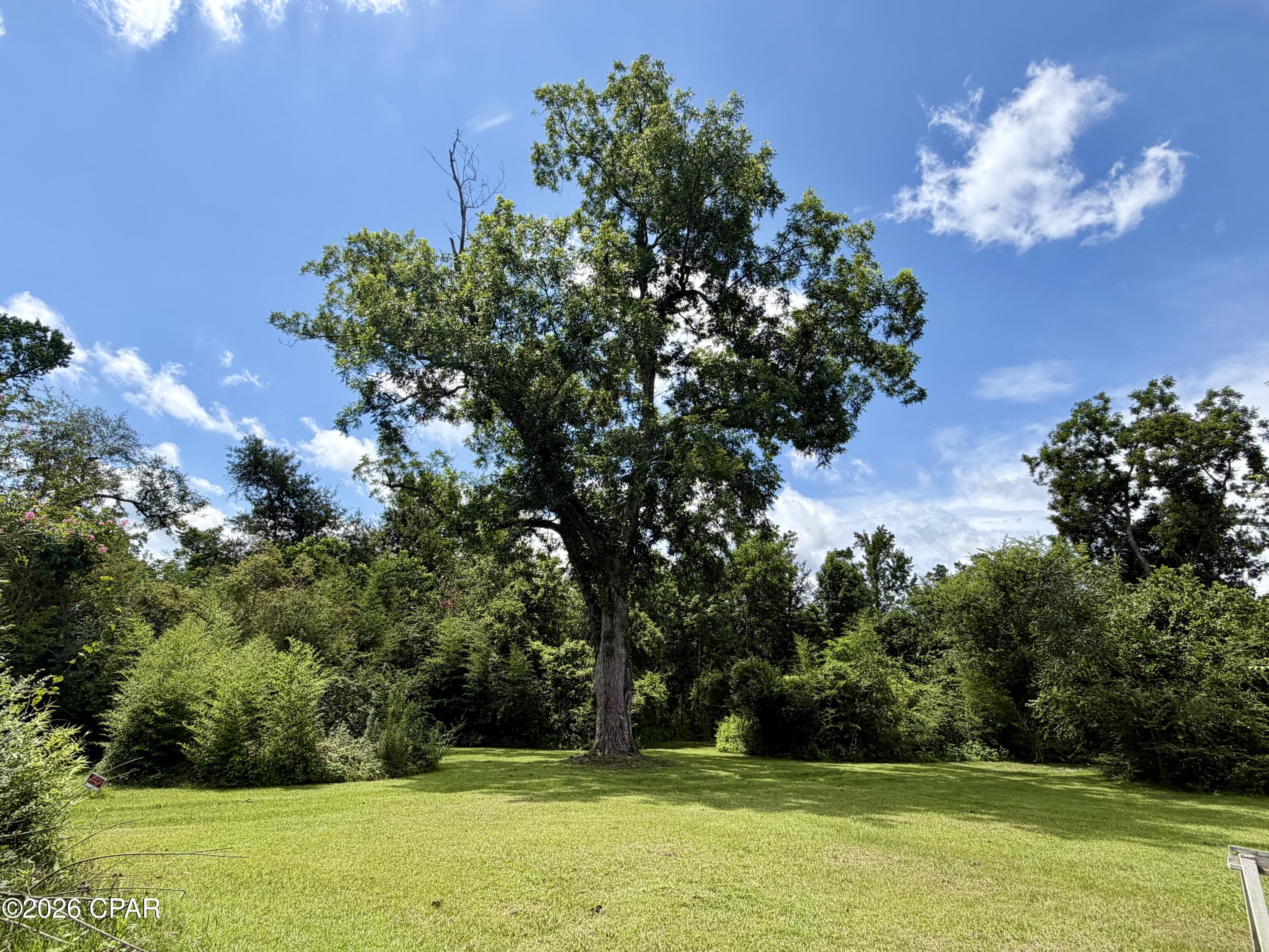 3879 Old Cottondale Road Marianna, FL 32448 - Photo 45 of 53