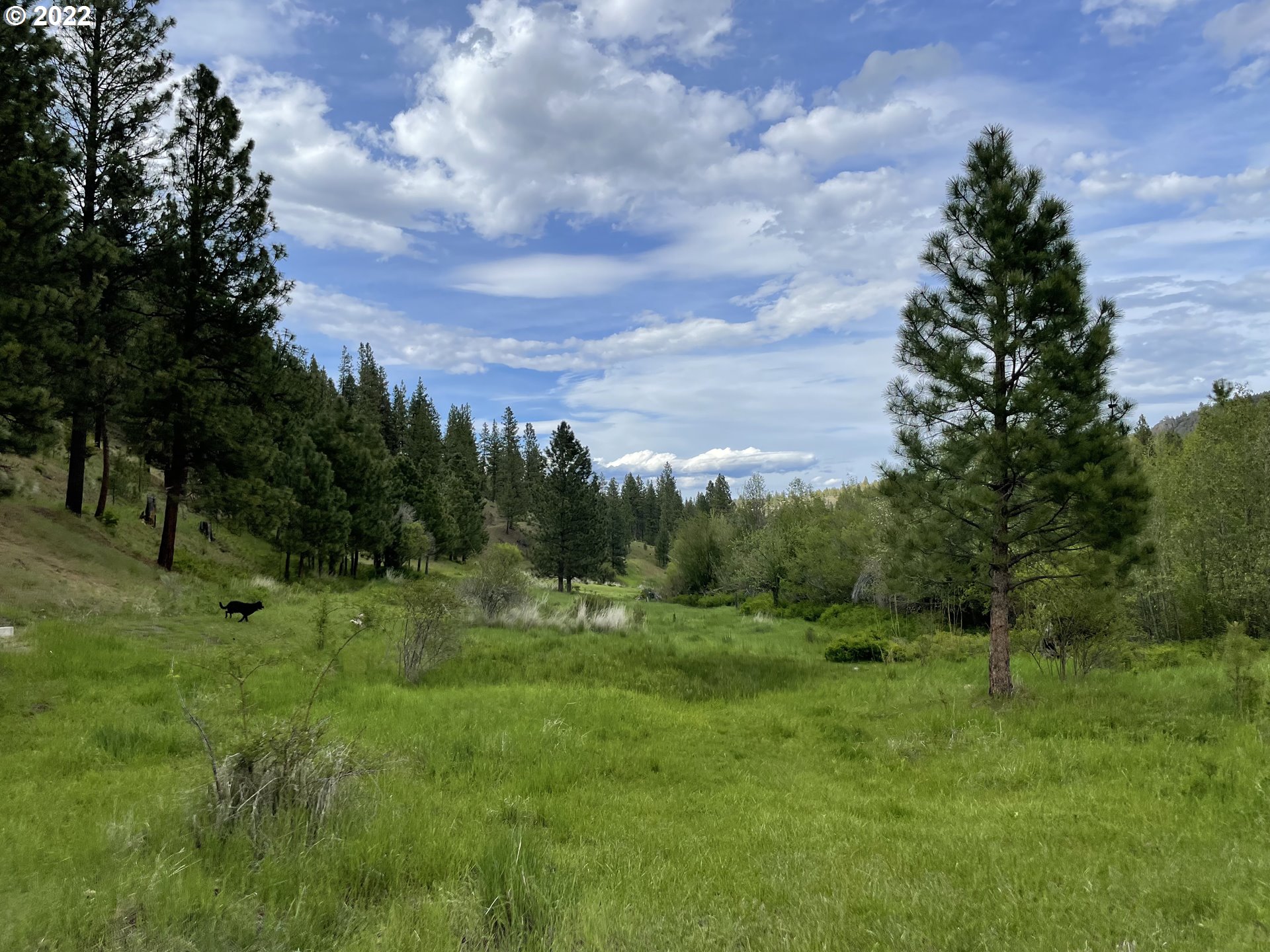 24673 Nans Rock Road Mount Vernon, OR 97865 - Photo 31 of 32 Gallery Image 31