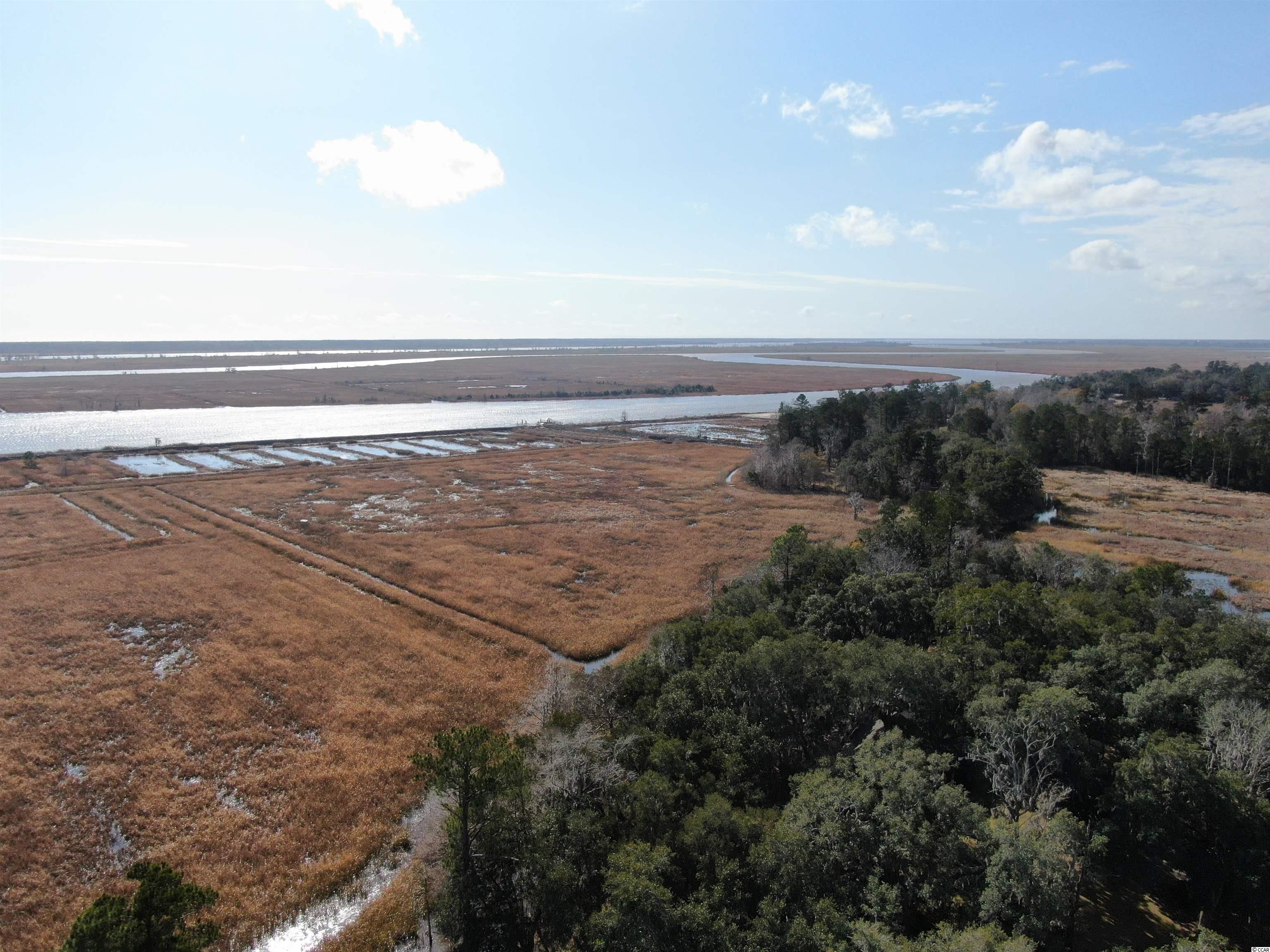 836 Wraggs Ferry Road, Unit 101D Georgetown, SC 29440 - Photo 16 of 38 Gallery Image 16
