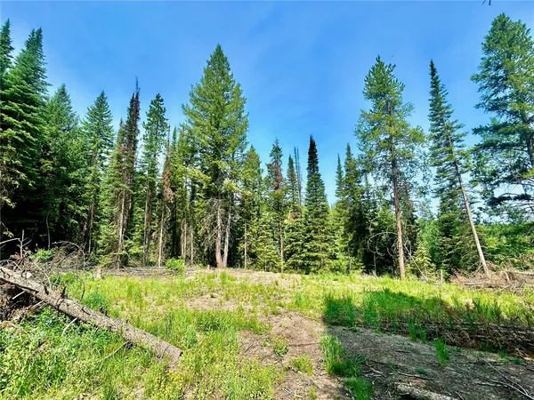 $27,000 | Lot 38 Colt Trail, Oak Creek, CO 80467