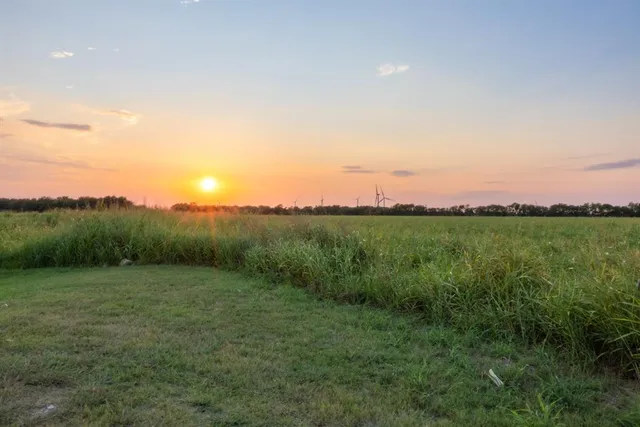 a view of a grassy field with trees