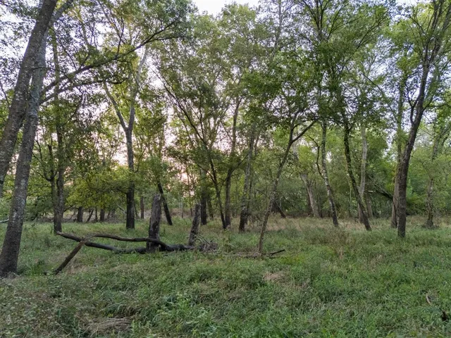 a view of outdoor space and green space