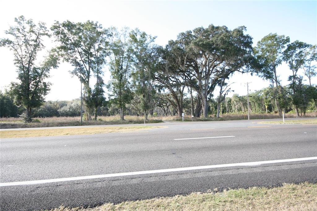 301 Tbd Citra, FL 32113 - Photo 26 of 34