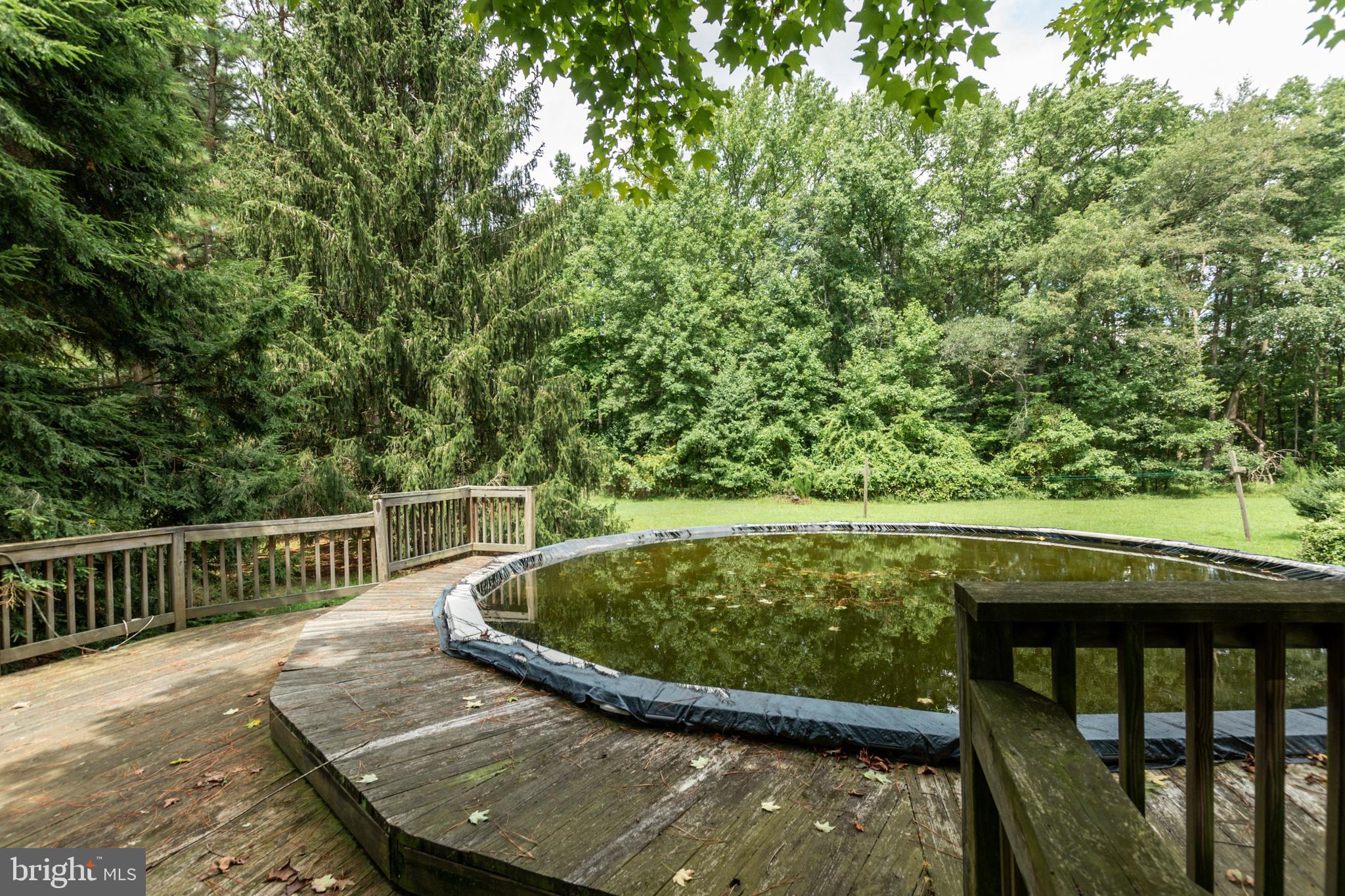 27166 Riverside Drive Salisbury, MD 21801 - Photo 11 of 49