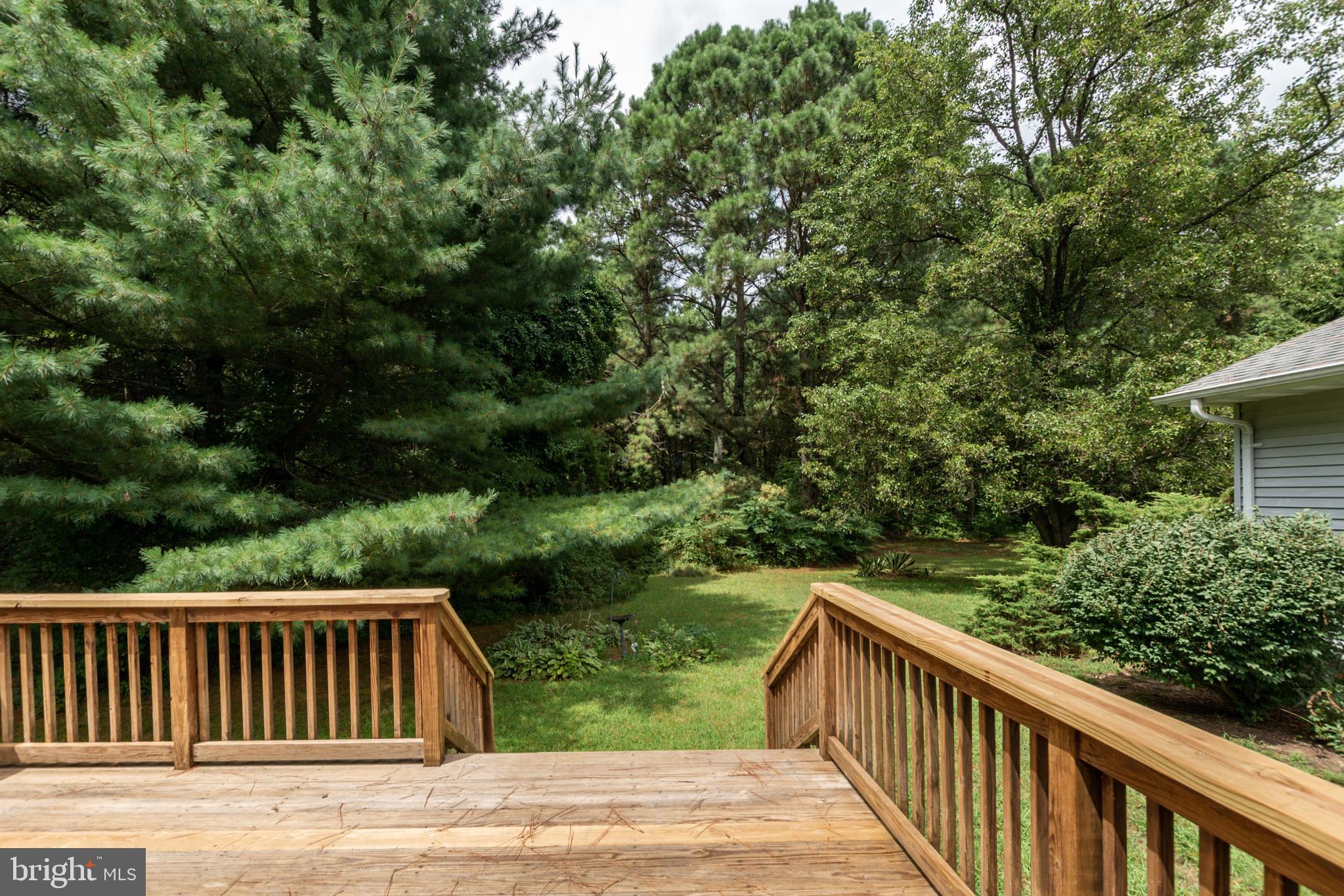 27166 Riverside Drive Salisbury, MD 21801 - Photo 39 of 49