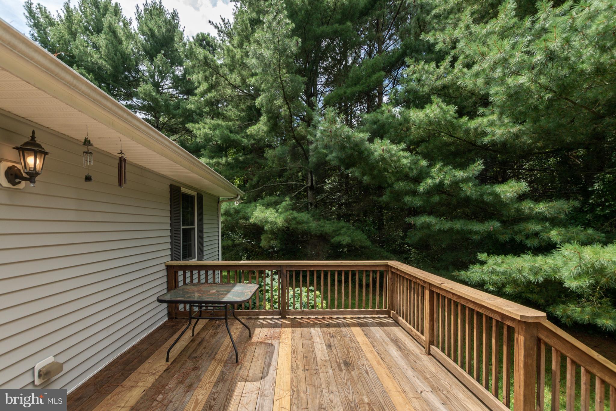 27166 Riverside Drive Salisbury, MD 21801 - Photo 42 of 49