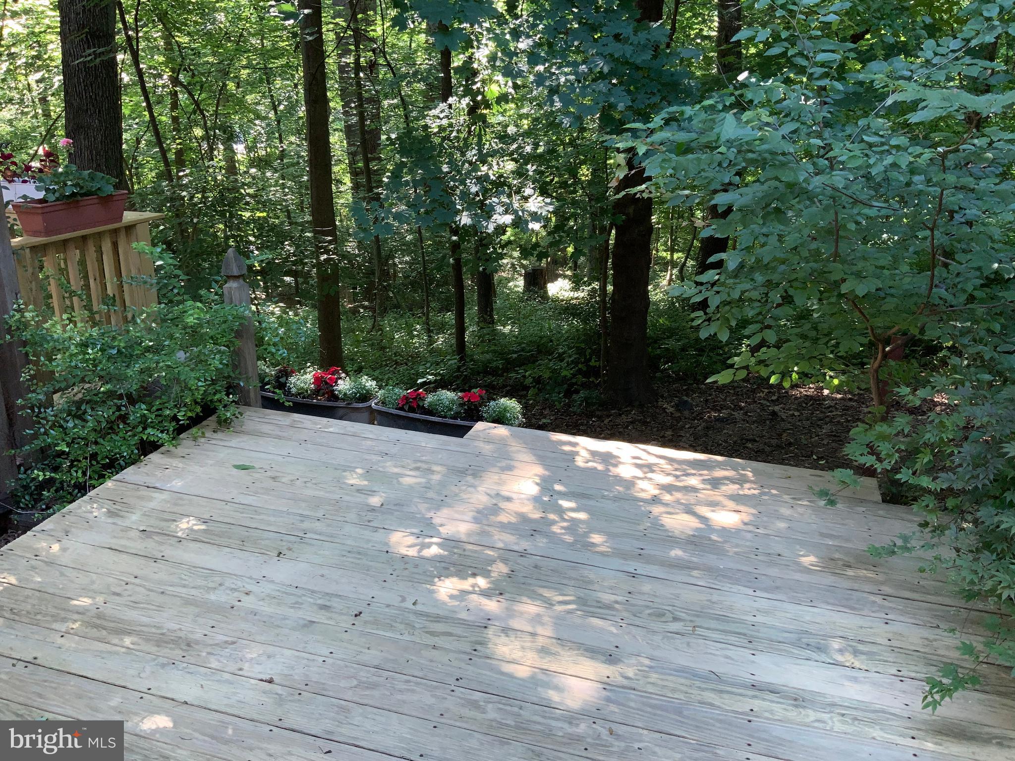 2014 Derby Ridge Lane, Unit 45 Silver Spring, MD 20910 - Photo 16 of 16