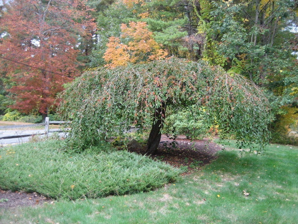 53 Breakneck Road Sturbridge, MA 01566 - Photo 6 of 22 a view of a outdoor space