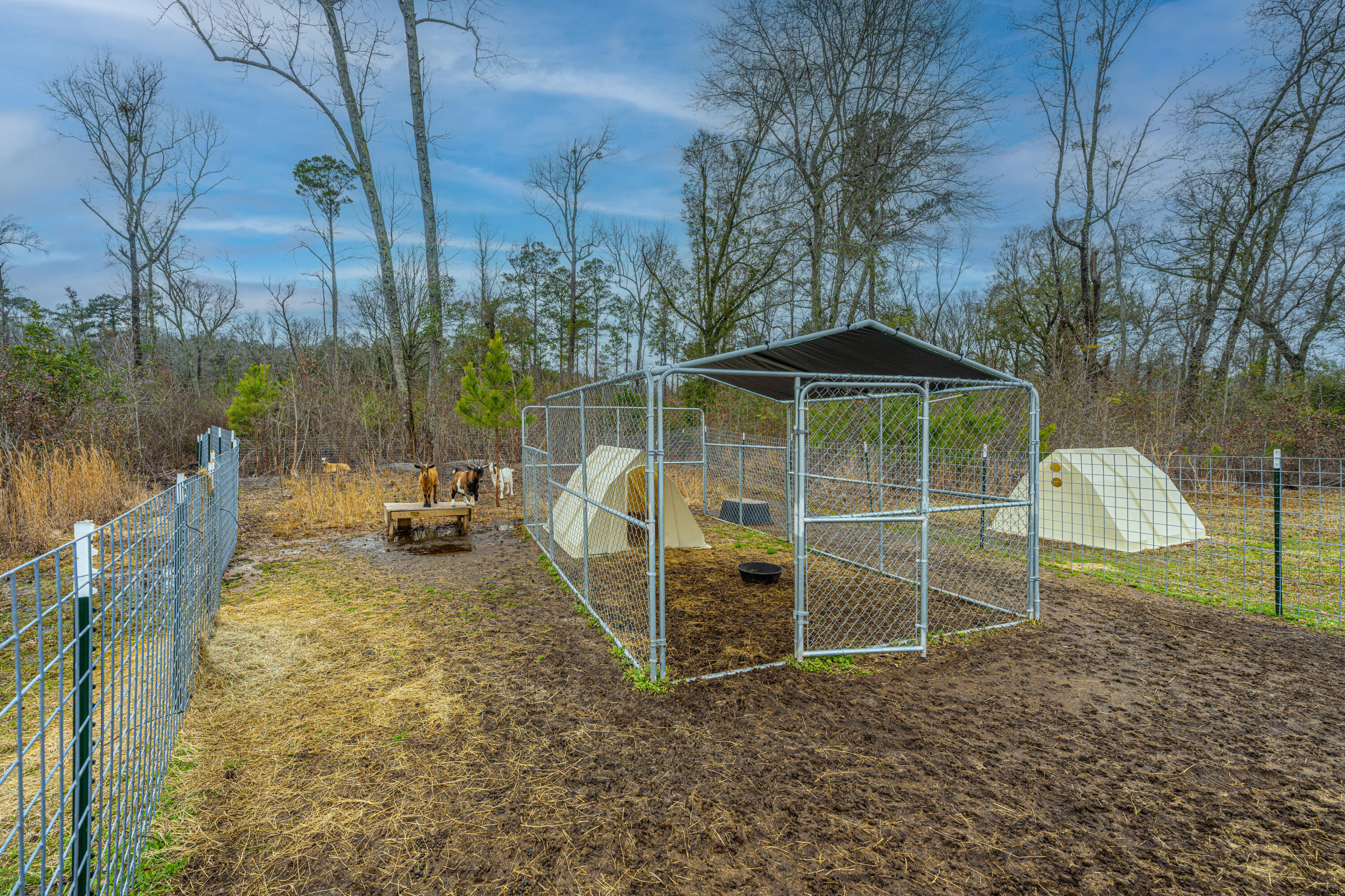 868 State Rd S-38-174 Holly Hill, SC 29059 - Photo 47 of 51 868CoachRd50