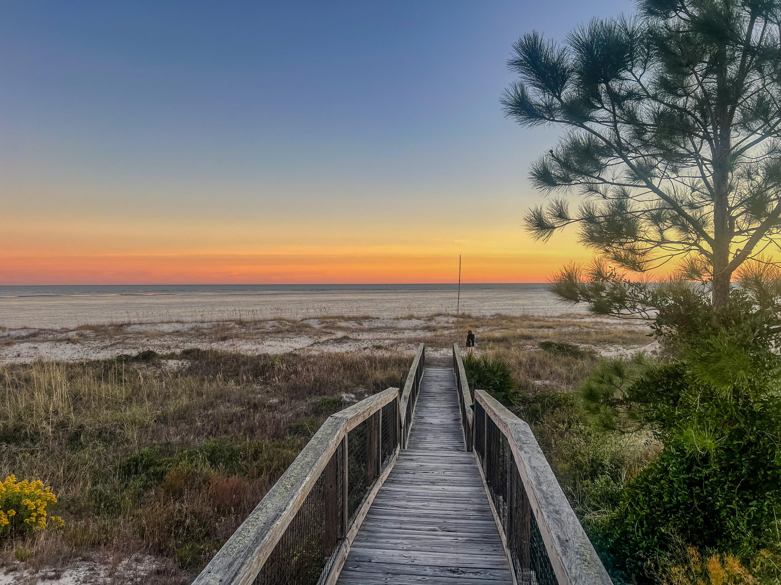 2381 Indian Pass Road Port St. Joe, FL 32456 - Photo 60 of 66 Mystic Palms Boardwalk