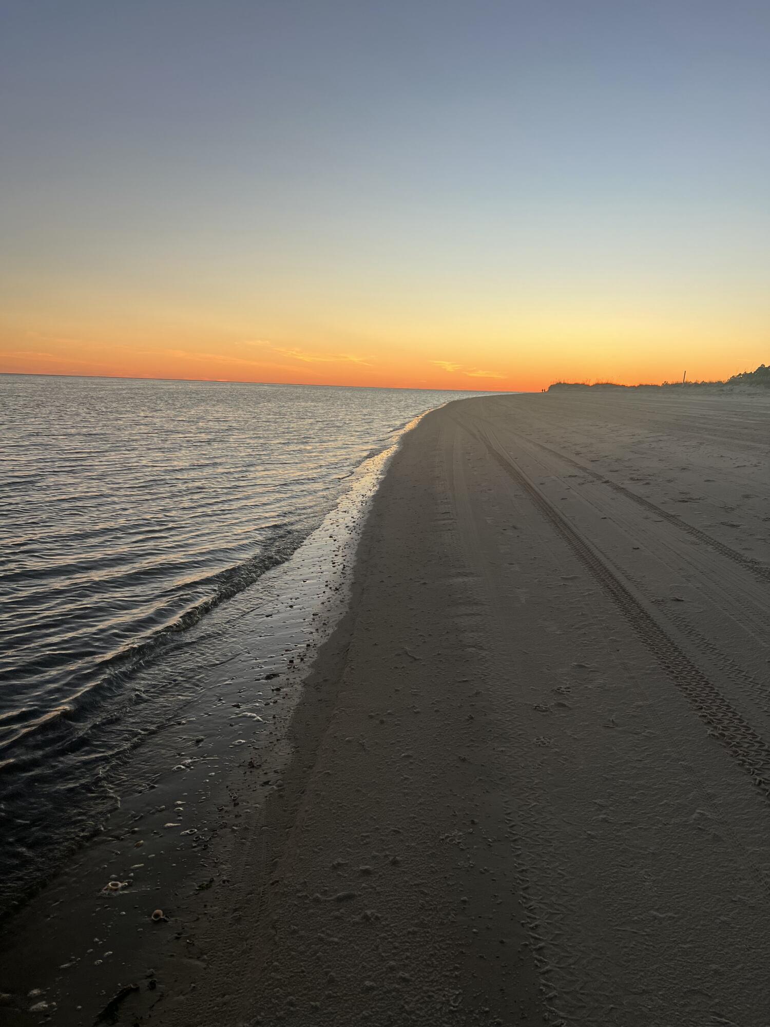 2381 Indian Pass Road Port St. Joe, FL 32456 - Photo 64 of 66 Beach