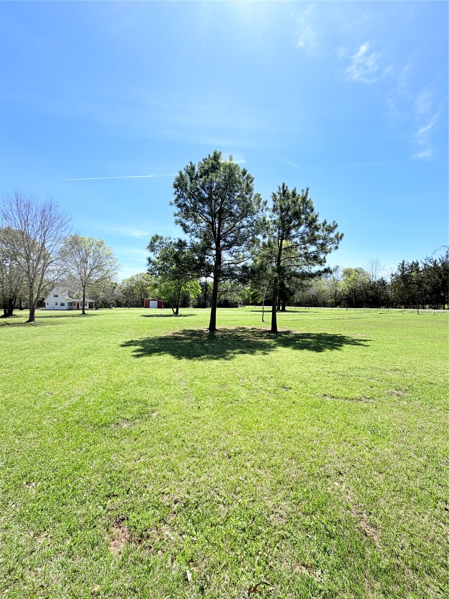 59 Forgotten Road Richards, TX 77873 - Photo 20 of 21 a view of yard with an trees