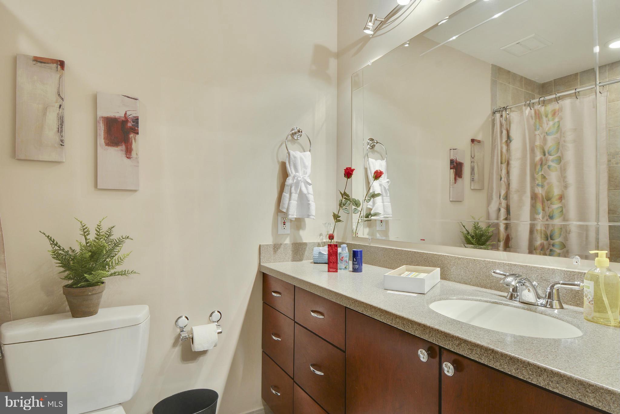 9530 Pamplona Road Columbia, MD 21045 - Photo 17 of 30 Bath (Master)