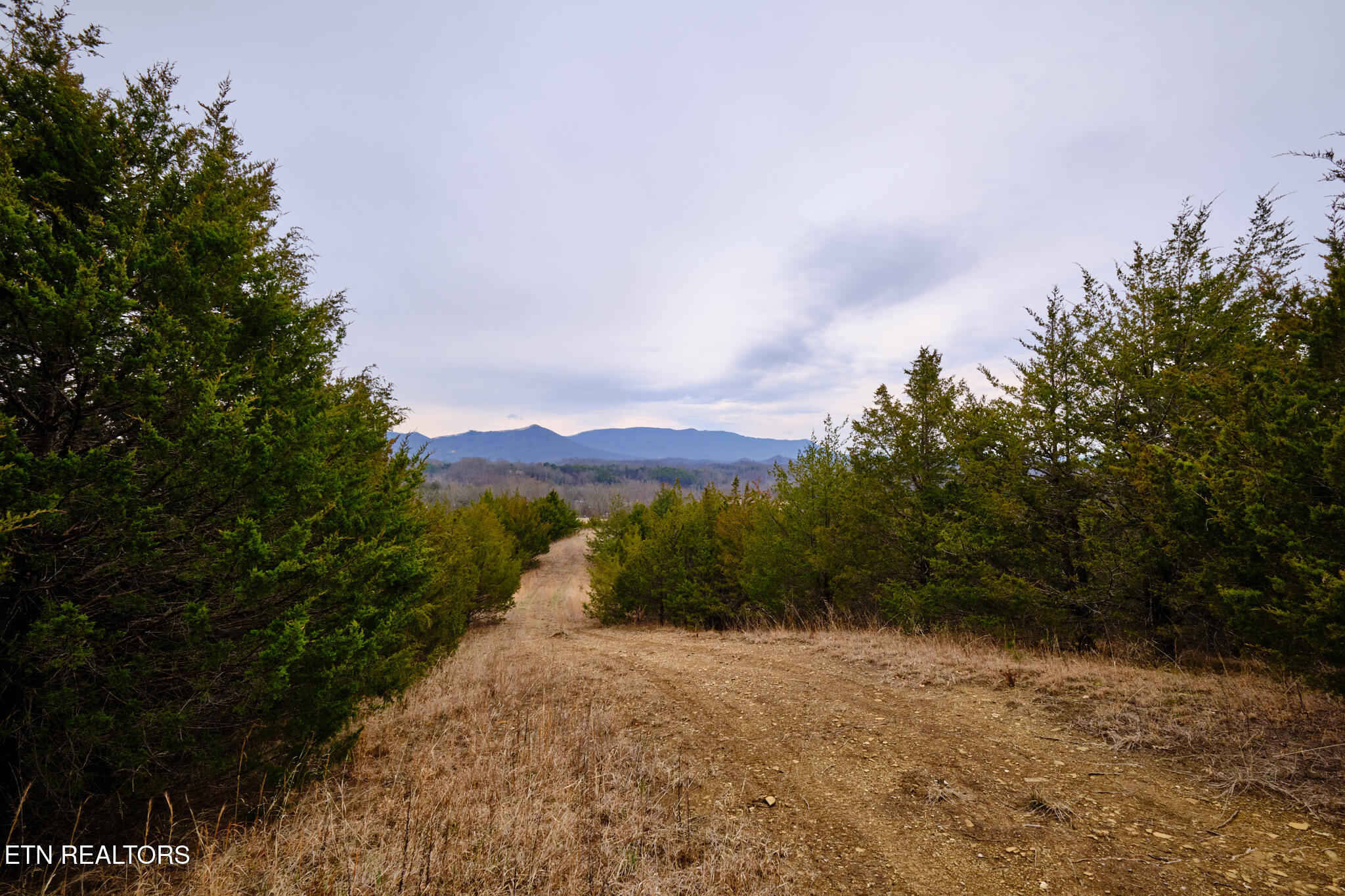 1420 Swannsylvania Road Dandridge, TN 37725 - Photo 4 of 5 Lot #2 1410 Swannsylvania Rd Dandridge,