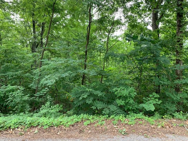 Lot 22 Booker Road Maynardville, TN 37807 - Photo 1 of 1 Lot 22
