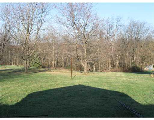 931 Monaca Road Monaca, PA 15061 - Photo 14 of 17 Yard/Garden.