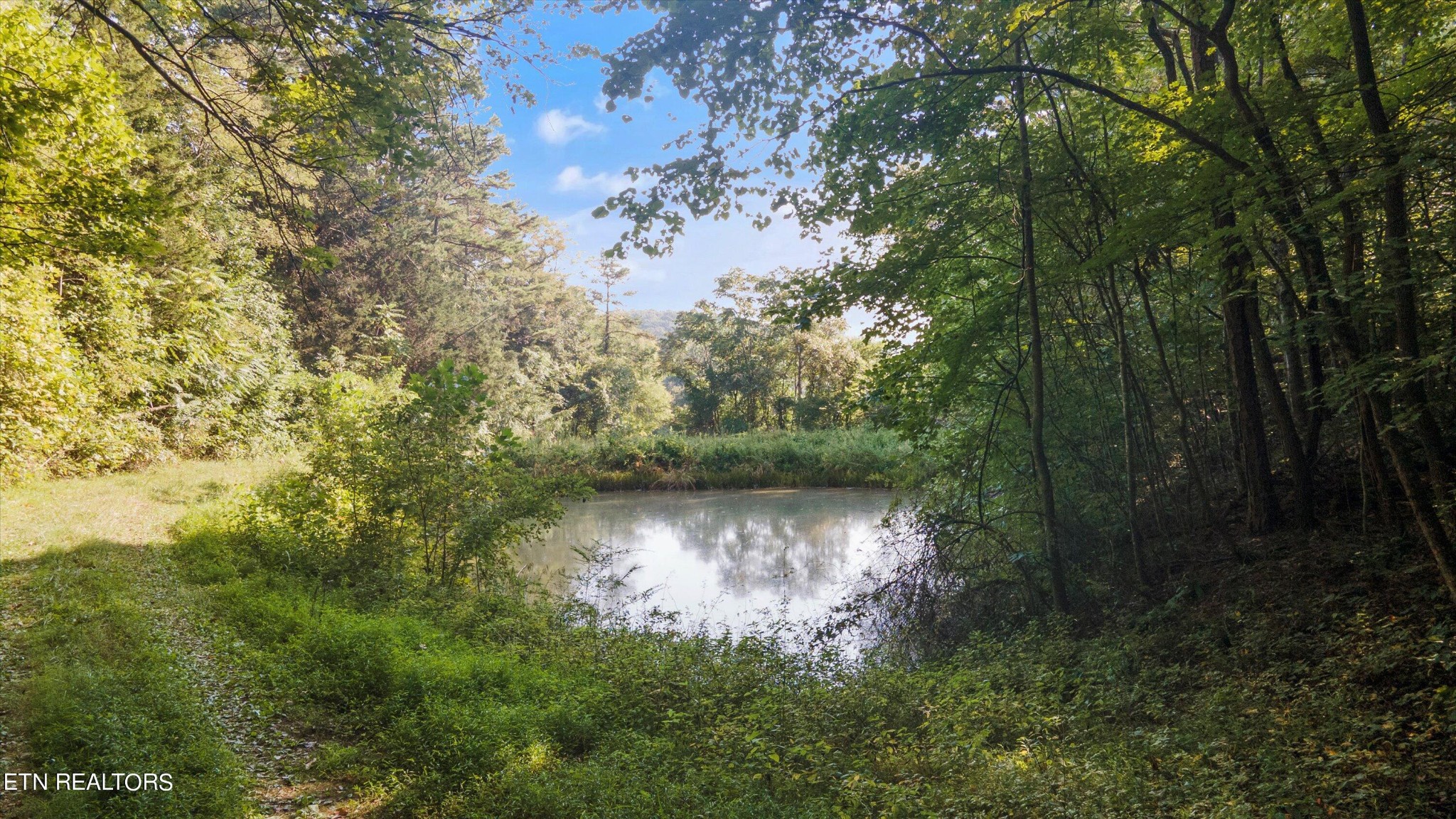 2 Narrow Valley Road Rutledge, TN 37861 - Photo 18 of 24 a view of a lake in a forest