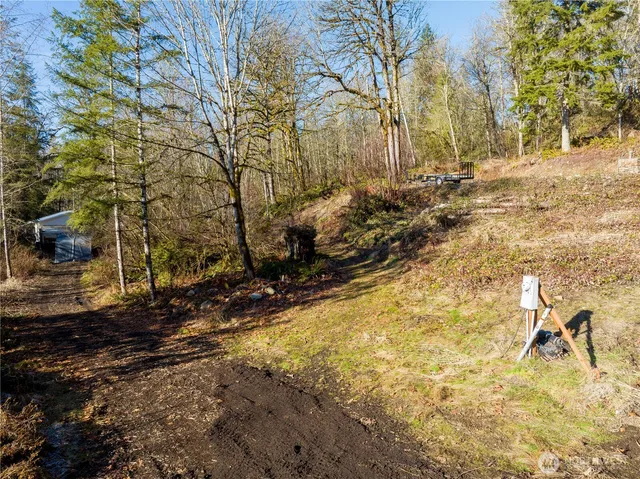 a view of a yard with trees