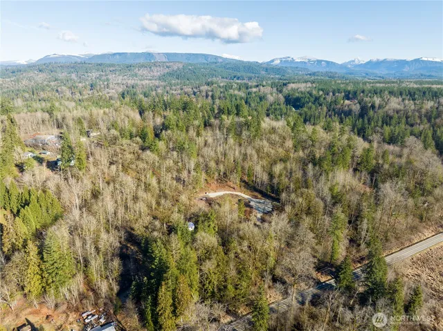 a view of a green field with lots of bushes
