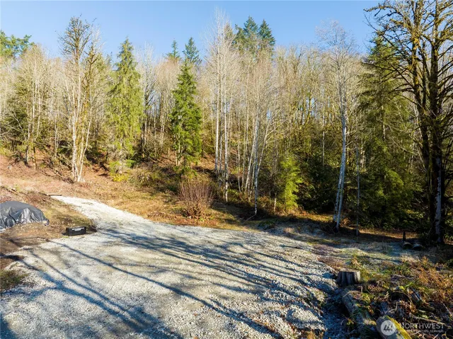 a view of a backyard of the house