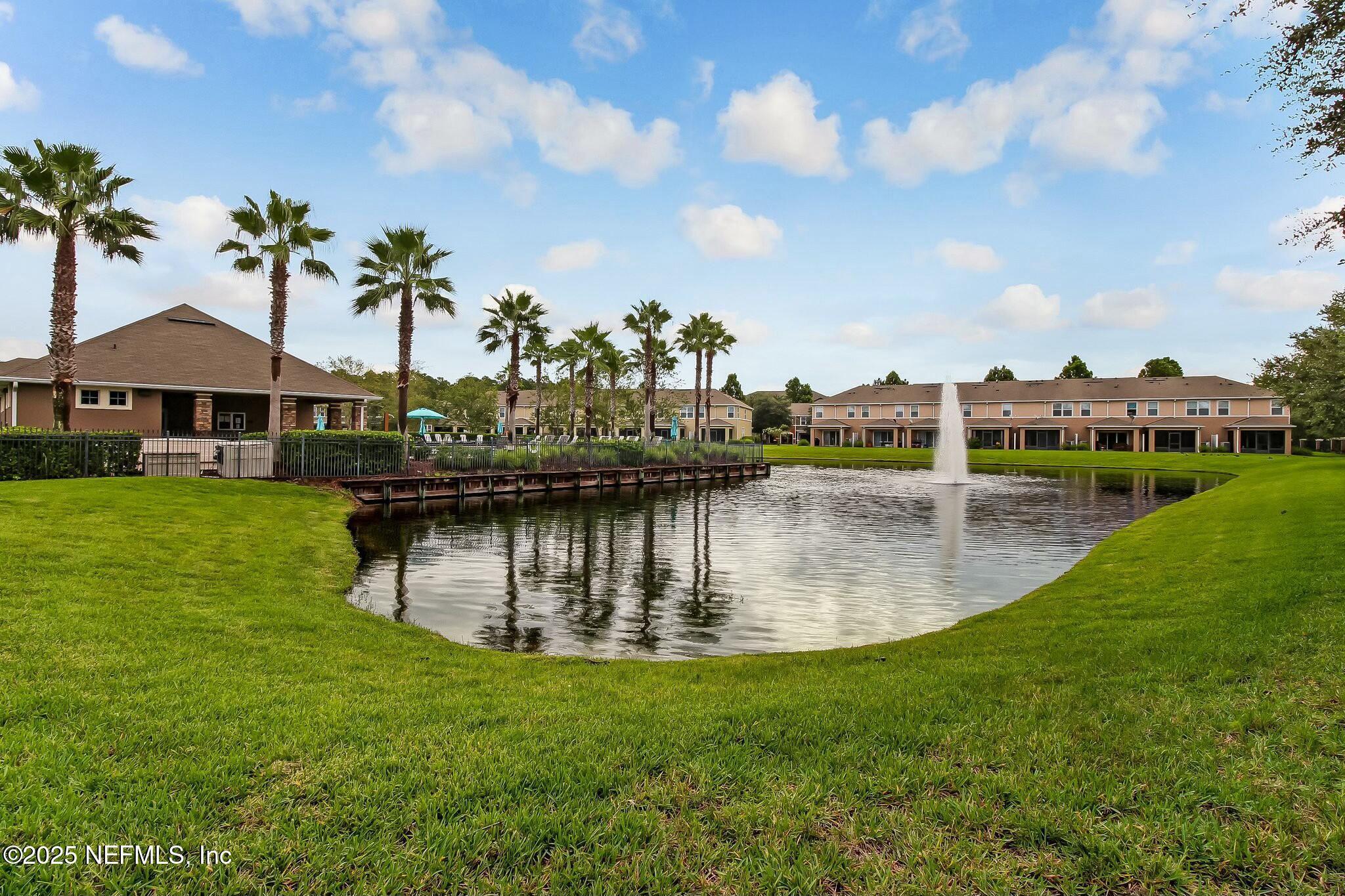 12960 Spring Rain Road Jacksonville, FL 32258 - Photo 38 of 46 Palm trees & fountains