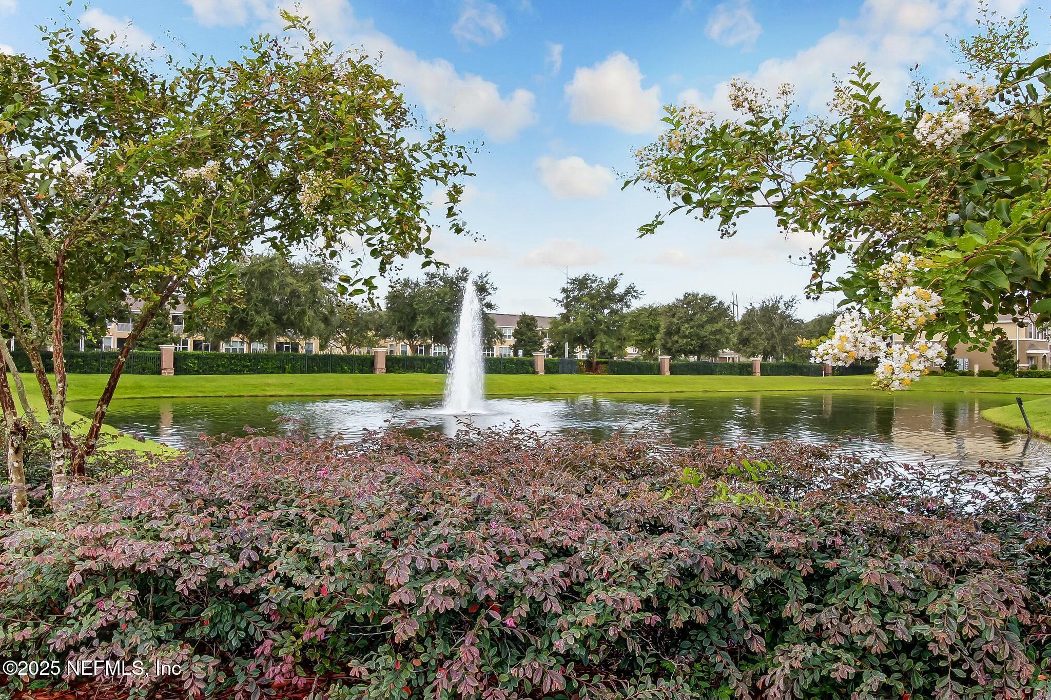 12960 Spring Rain Road Jacksonville, FL 32258 - Photo 39 of 46 Picture perfect