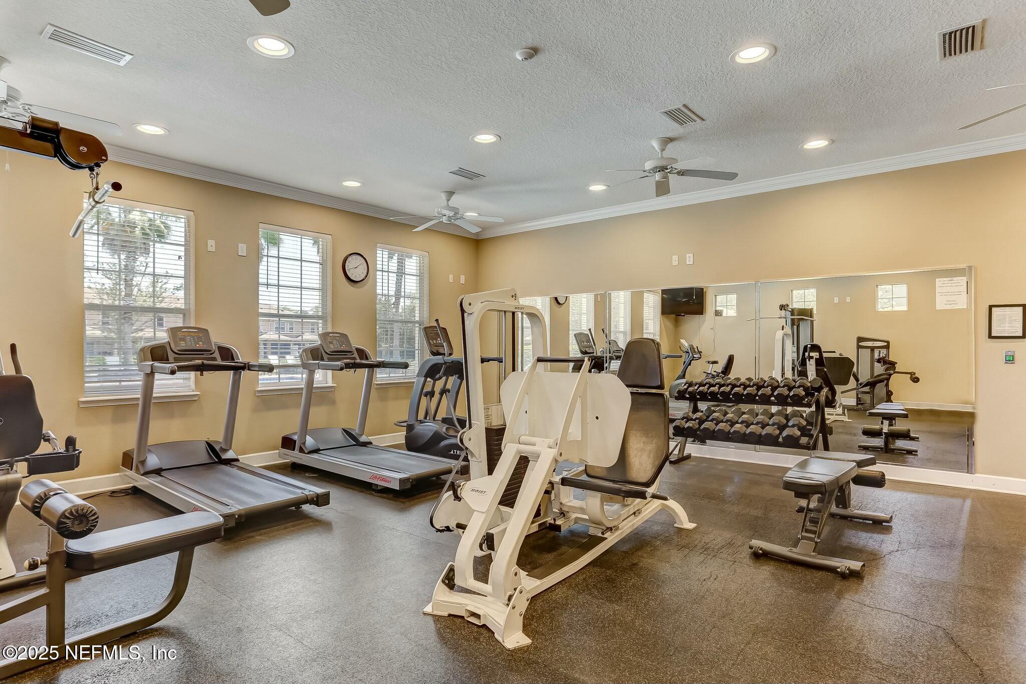 12960 Spring Rain Road Jacksonville, FL 32258 - Photo 44 of 46 Lots of natural light