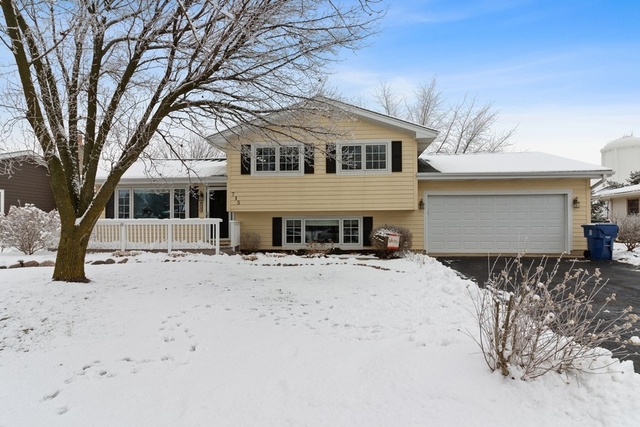 715 Amber Road New Lenox, IL 60451 - Photo 1 of 16