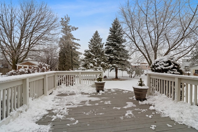 715 Amber Road New Lenox, IL 60451 - Photo 15 of 16