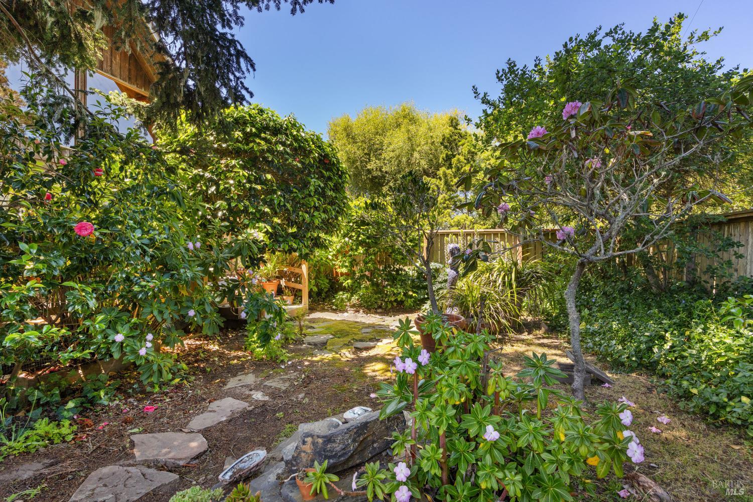 385 Cedar Road Bolinas, CA 94924 - Photo 50 of 70