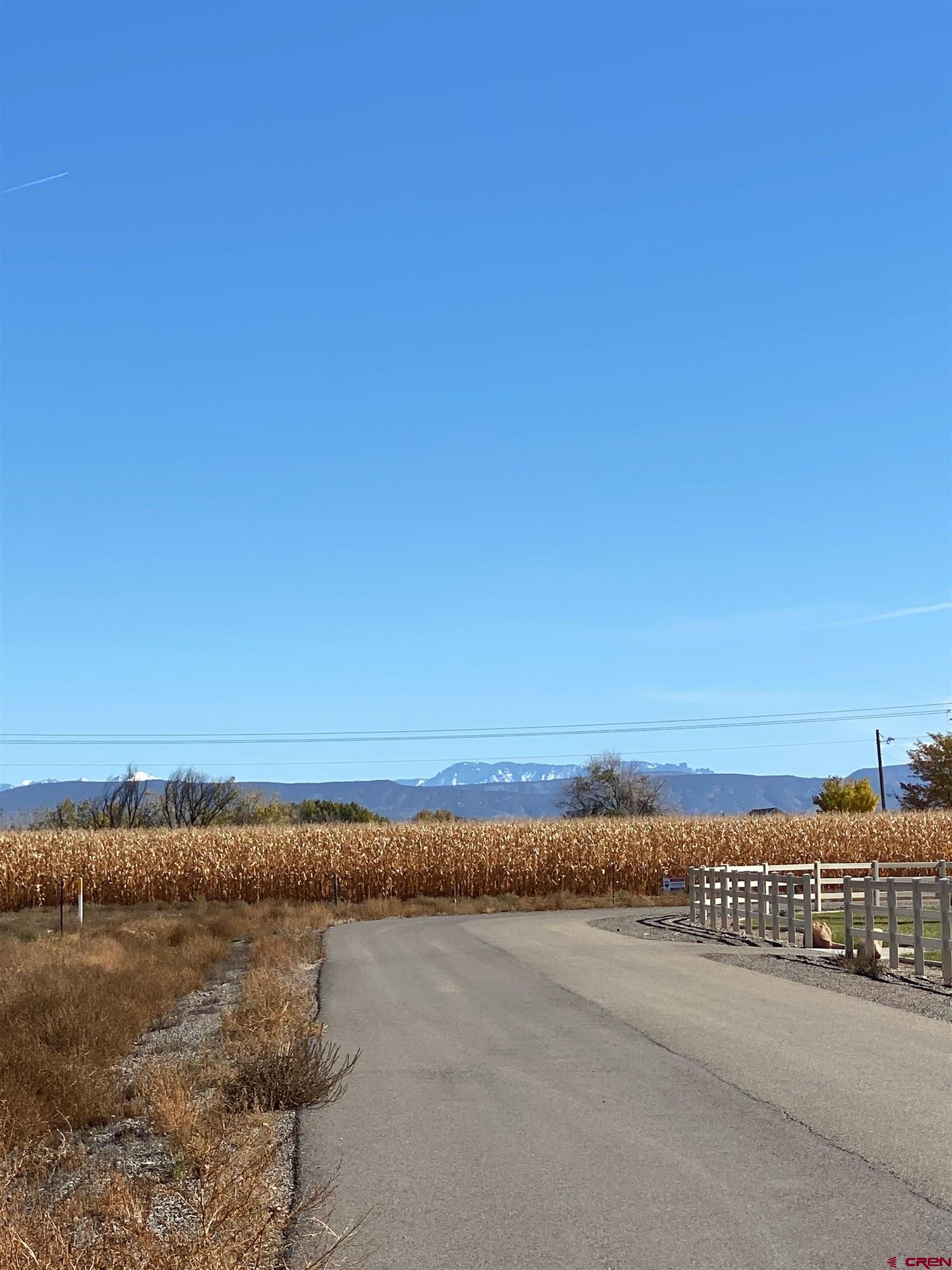 Lot 3 Snaffle Bit Road Delta, CO 81416 - Photo 6 of 6