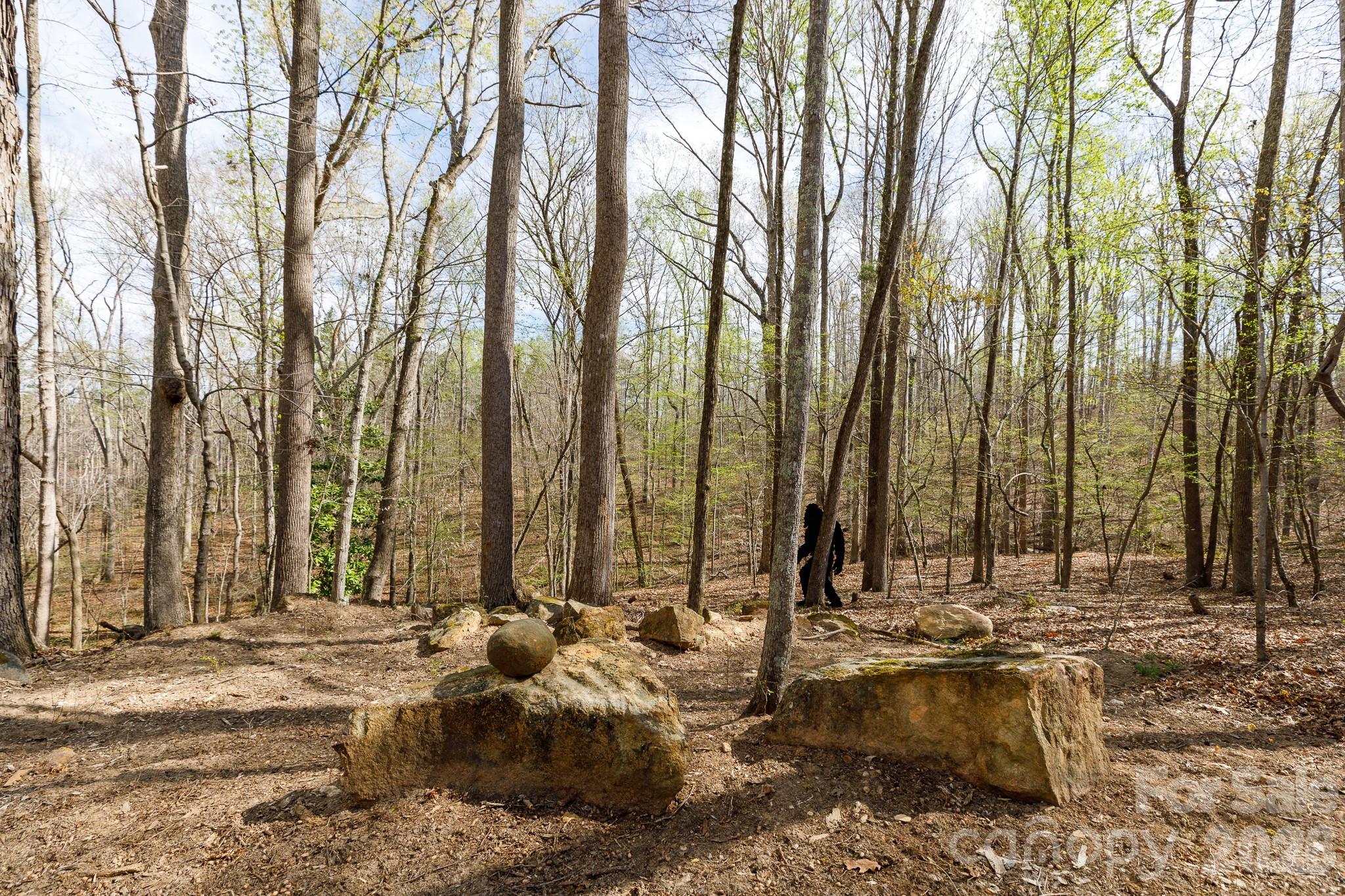 1108 State Rd S-46-996 York, SC 29745 - Photo 44 of 48