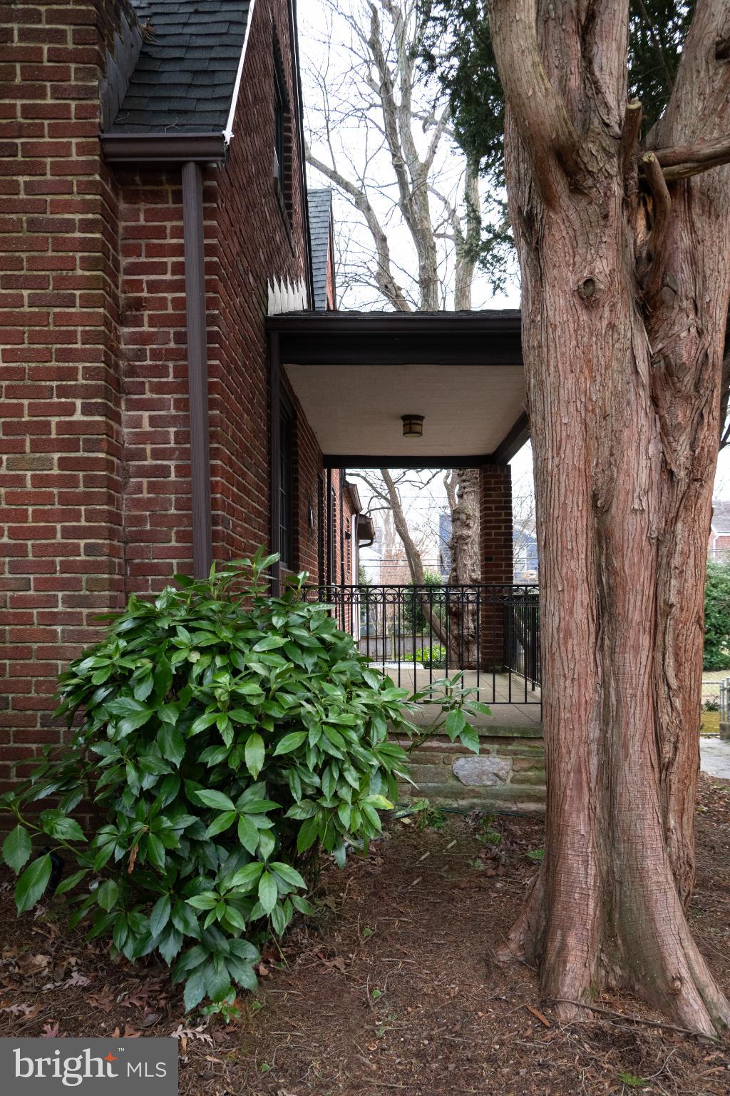 613 Anneslie Road Baltimore, MD 21212 - Photo 47 of 48 a yellow plant sitting in front of a building
