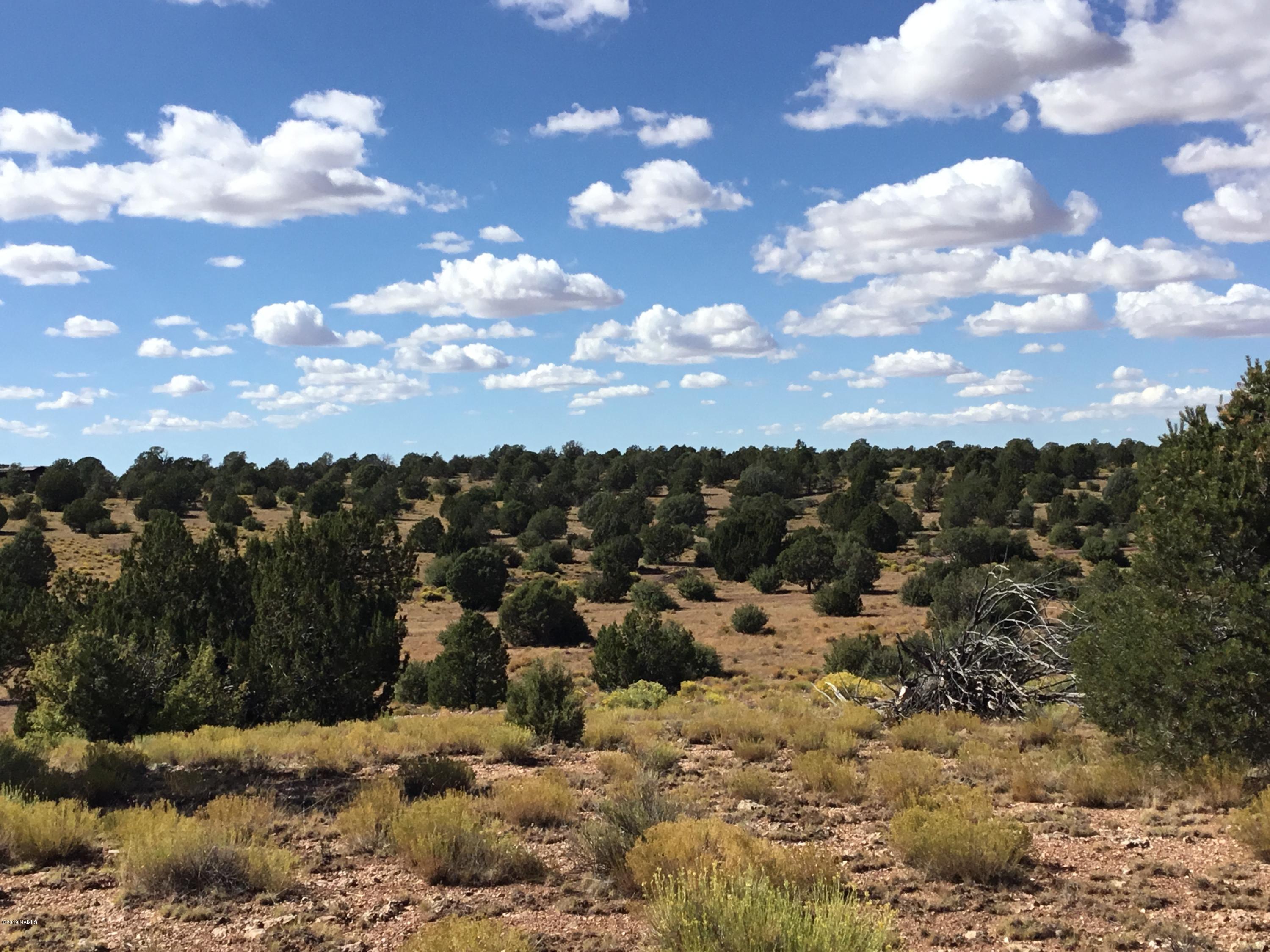 10654 West Red Bluff Road Williams, AZ 86046 - Photo 12 of 28 8AAB073C-652F-4C57-A054-1991011D1182