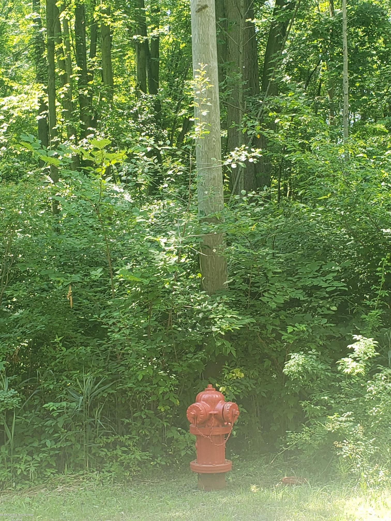 0 High Road Algonac, MI 48001 - Photo 6 of 6