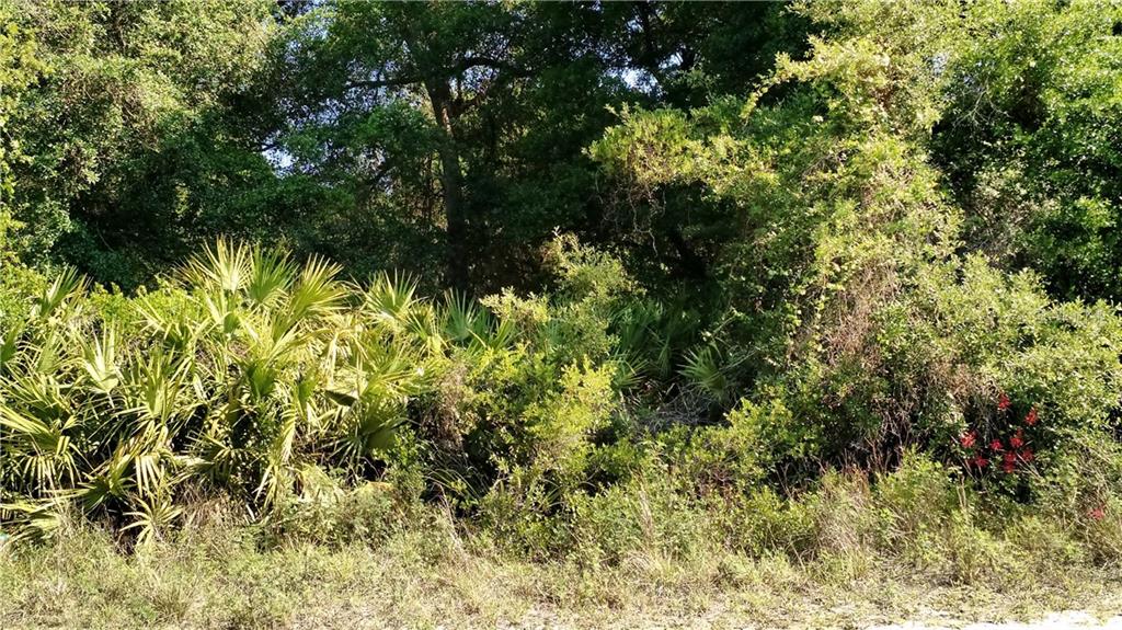 Tba Cochran Road Geneva, FL 32732 - Photo 1 of 1 Gallery Image 1