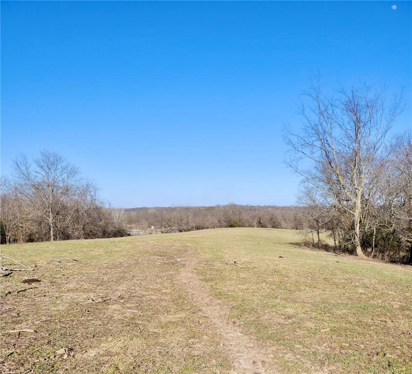 1001 South Van Dyke Road Buckner, MO 64016 - Photo 4 of 6