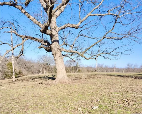 $150,000 | 1001 South Van Dyke Road, Buckner, MO 64016