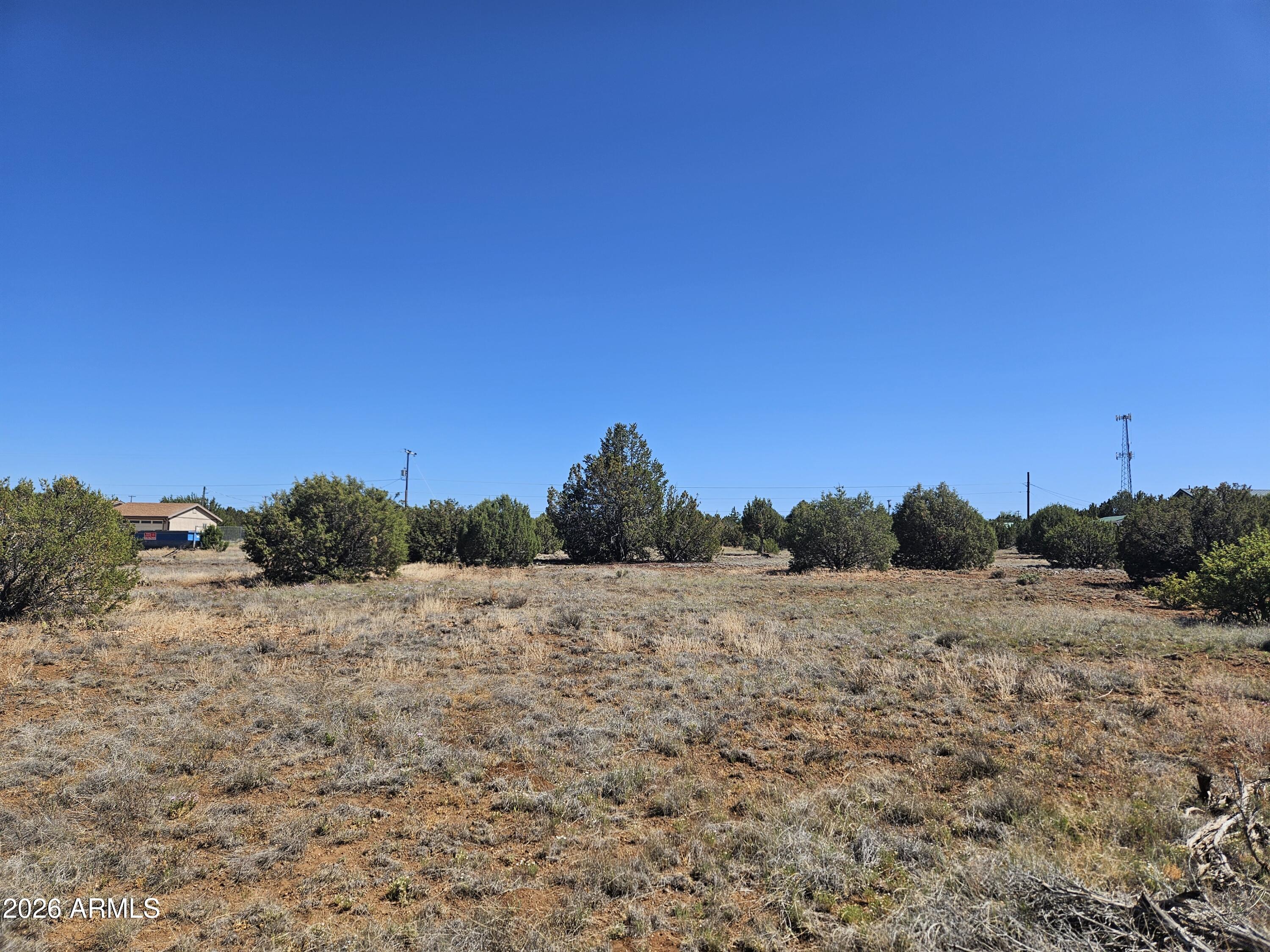 2429 Bourdon Ranch Road, Unit F Show Low, AZ 85901 - Photo 2 of 11