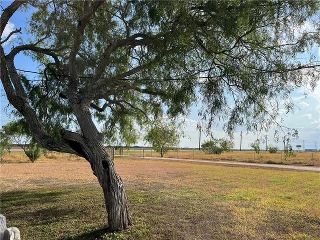 a house with trees in front of it