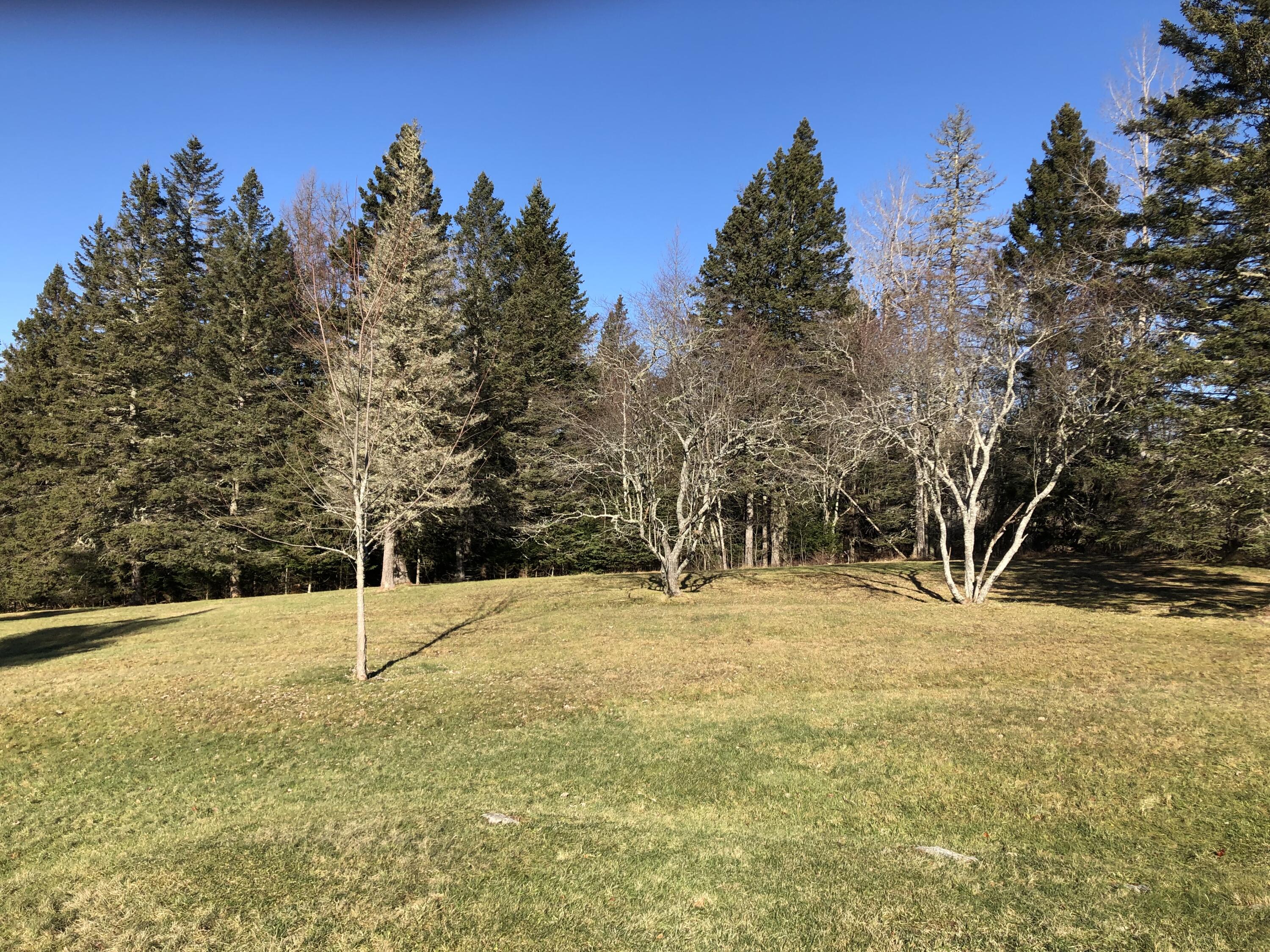 92 Cates Road Harrington, ME 04643 - Photo 6 of 43 IMG_3993