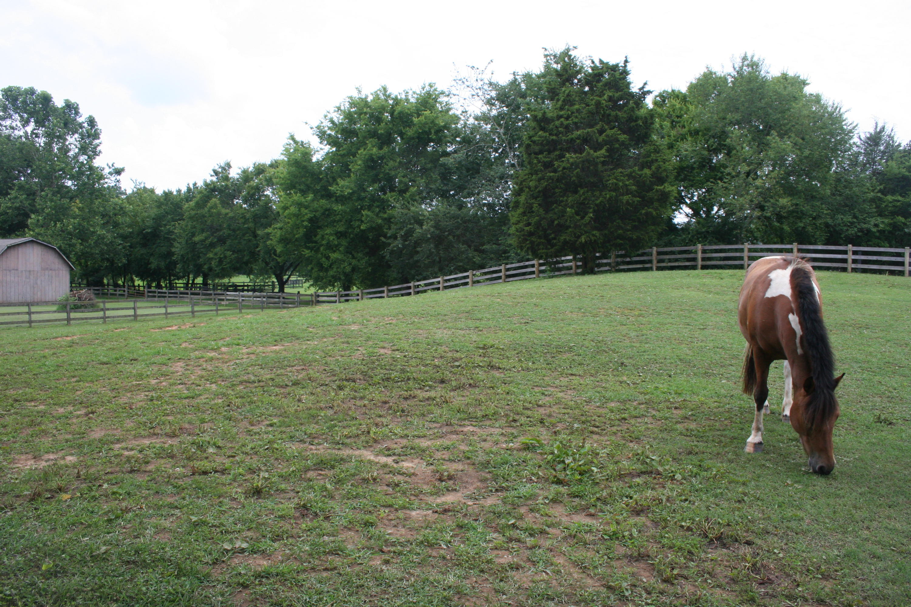 420 Celebration Road Knoxville, TN 37934 - Photo 2 of 30 IMG_3452