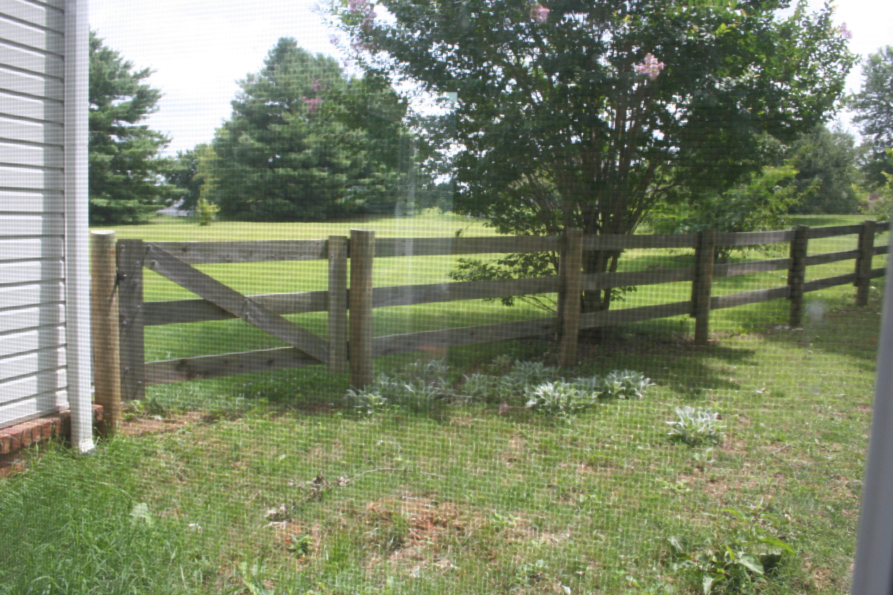 420 Celebration Road Knoxville, TN 37934 - Photo 23 of 30 IMG_3416