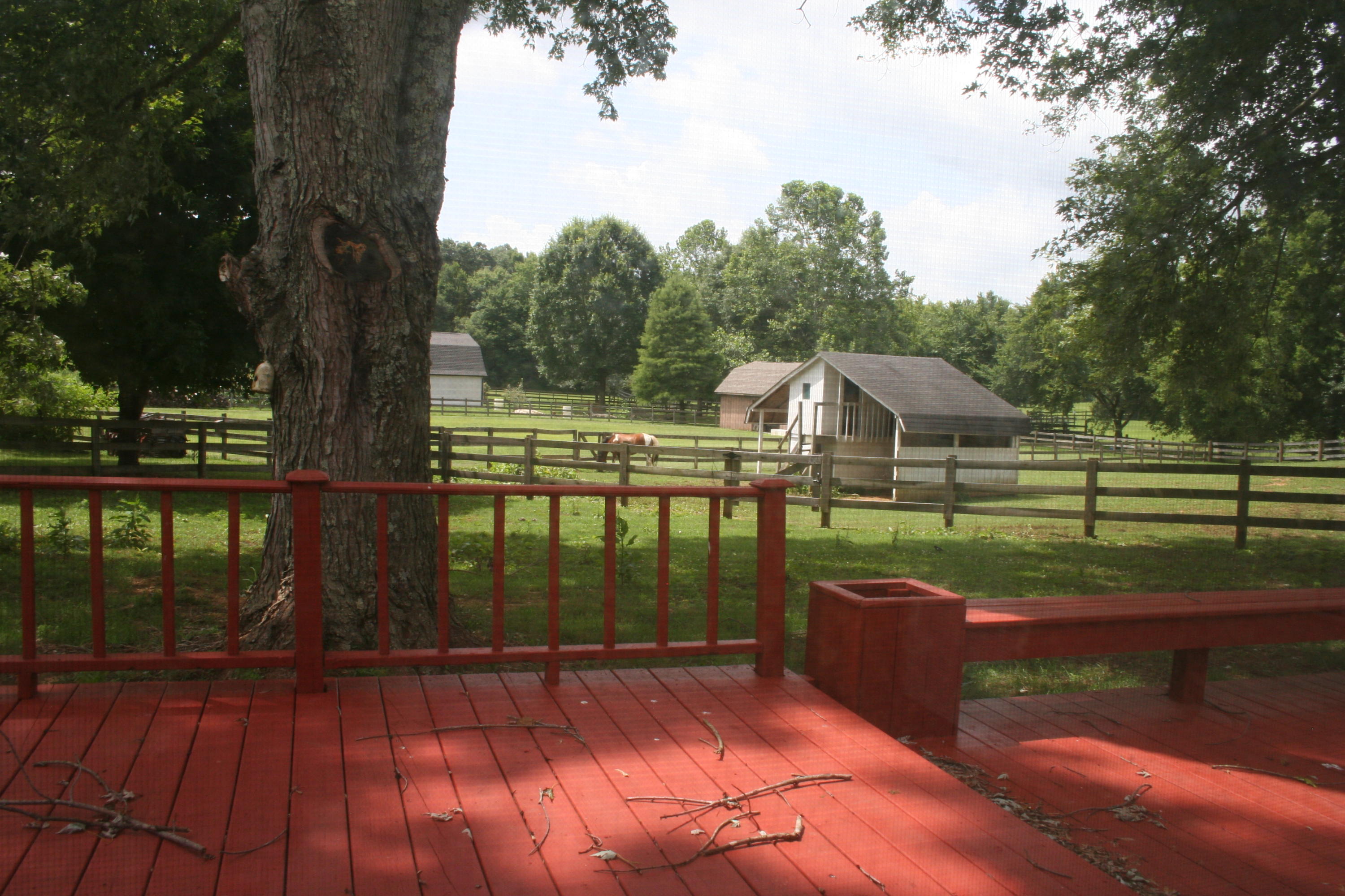 420 Celebration Road Knoxville, TN 37934 - Photo 25 of 30 IMG_3414