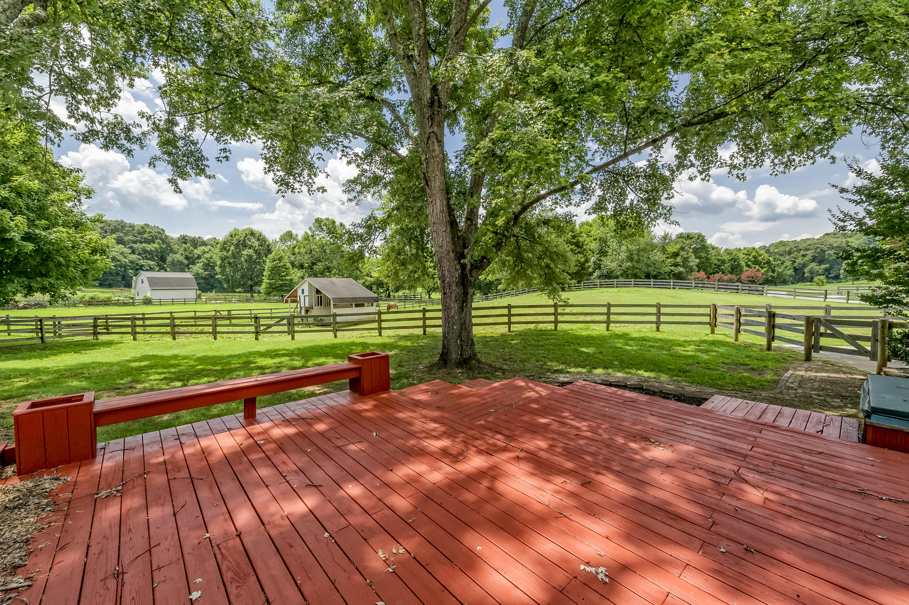 420 Celebration Road Knoxville, TN 37934 - Photo 27 of 30 HOB_5306-Edit