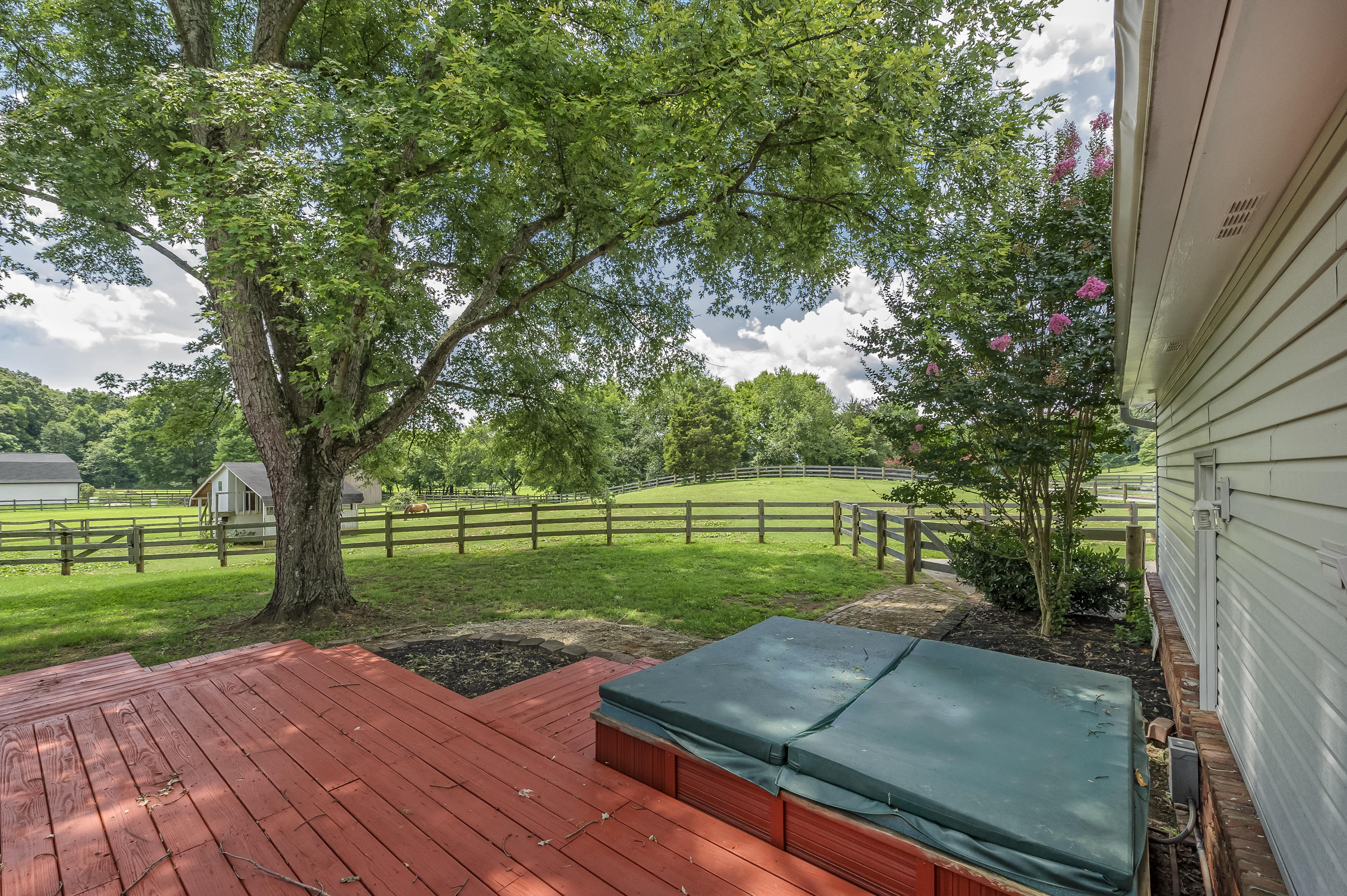420 Celebration Road Knoxville, TN 37934 - Photo 5 of 30 HOB_5310-Edit-Edit
